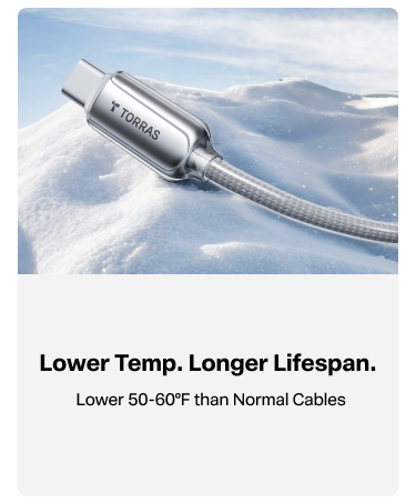 TORRAS INC.